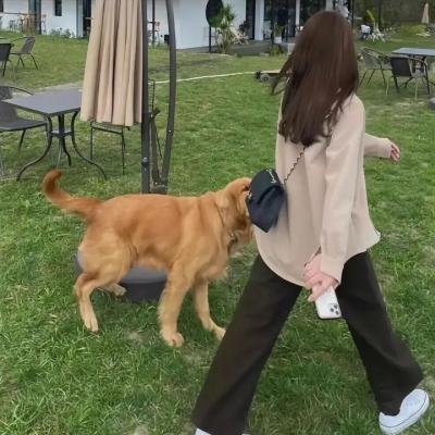 普通家庭